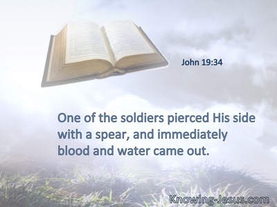 One of the soldiers pierced His side with a spear, and immediately blood and water came out.